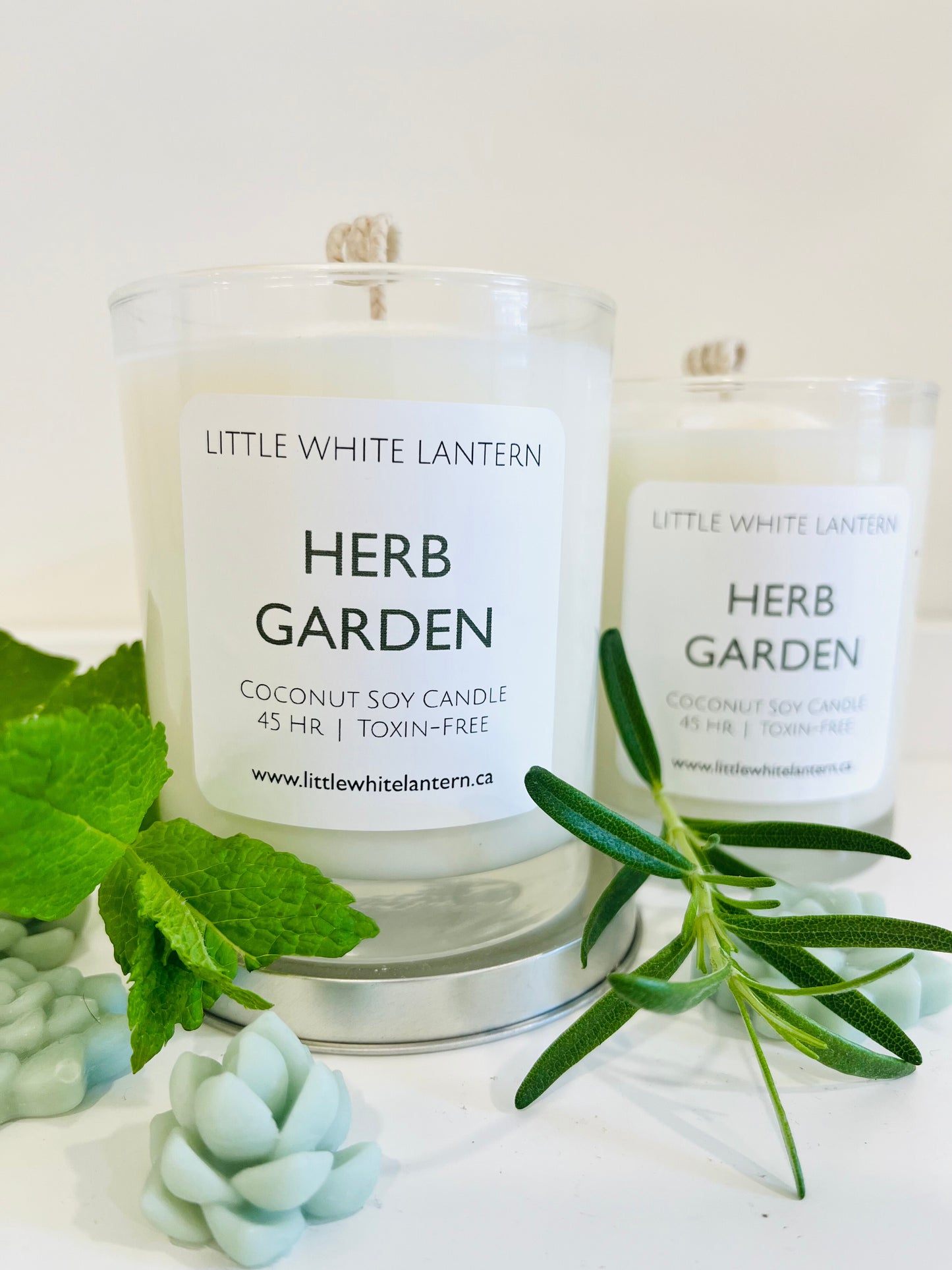 Herb Garden